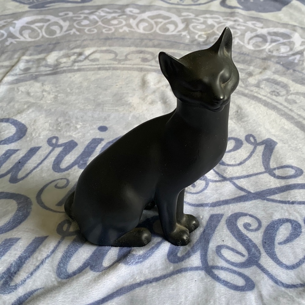 Counterpoint black cat